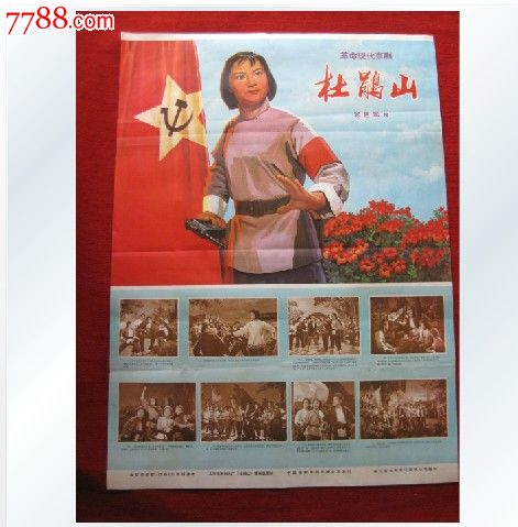 的里雅斯特大学 Certificate